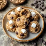 S'mores No Bake Protein Bites