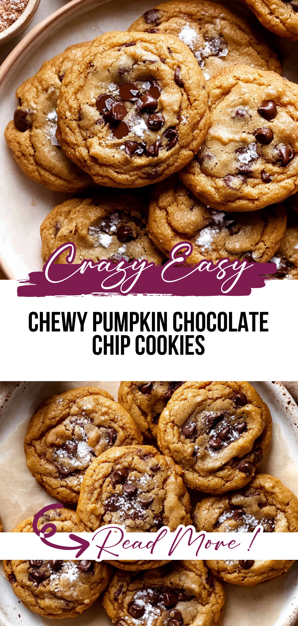 Chewy Pumpkin Chocolate Chip Cookies